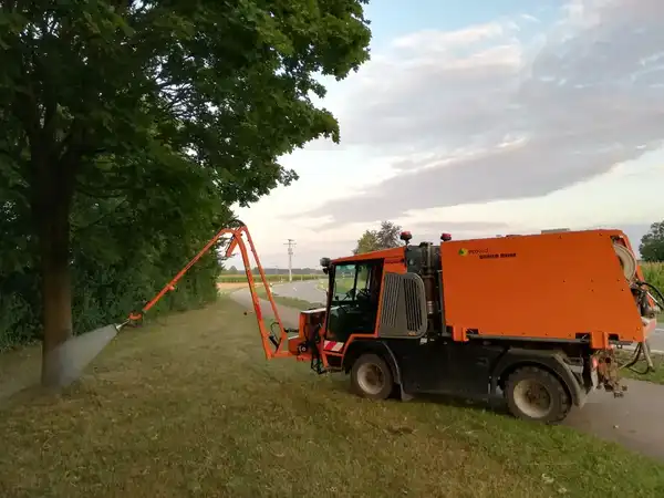 Gesunder Baum durch regenerative Baumpflege