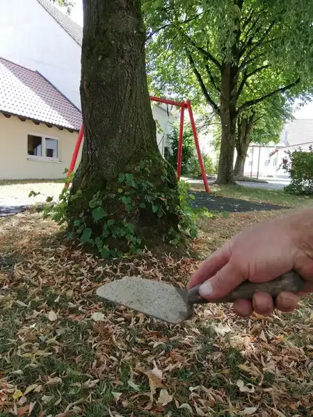 Gießkanne mit Nährstofflösung für die Baumscheibe