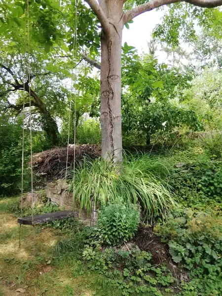 Regenwurm in gesundem Boden zur Förderung des Ton-Humus-Komplexes